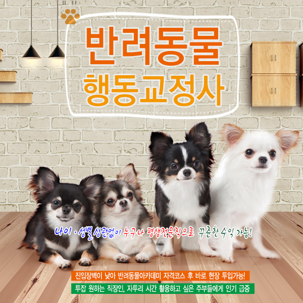 반려동물행동교정사 자격증 과정 안내
